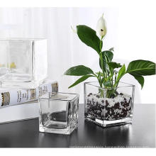 Haonai Many size clear square glass cube vase/crystal glass candel holder.